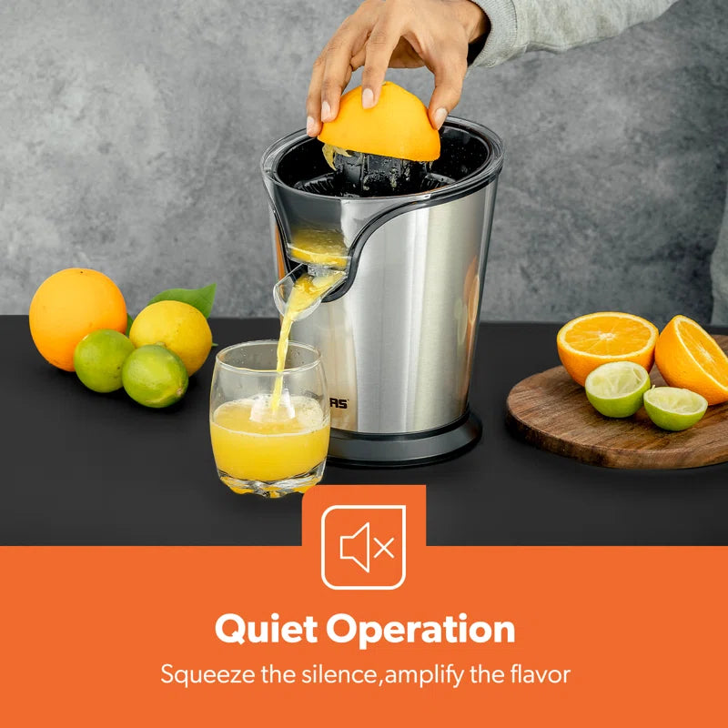 100W Citrus Juicer Electric Orange Juicer Professional