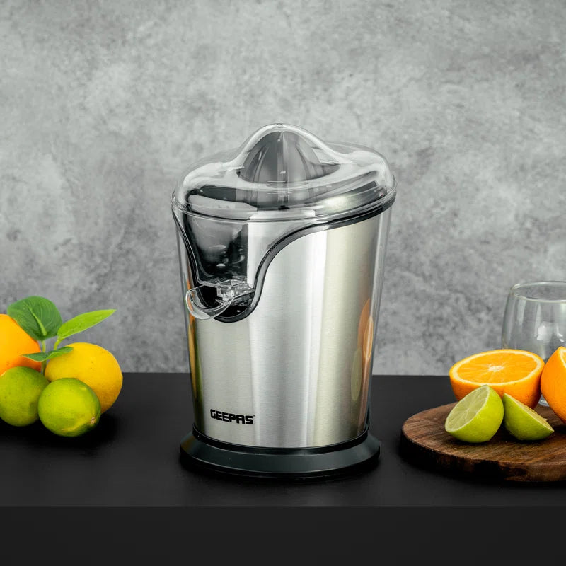100W Citrus Juicer Electric Orange Juicer Professional